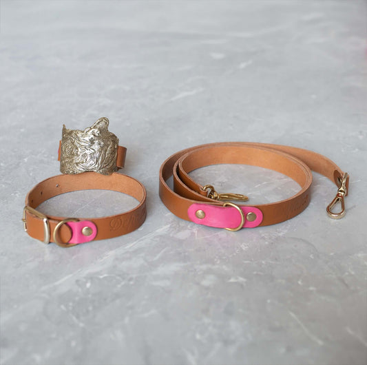 El Set incluyeCollar, Correa, Pulsera con brazalete y Bolso